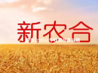 新农合2024年收费标准最新
