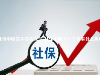 社保中断是不是白交了 社保中断了一个月有什么影响