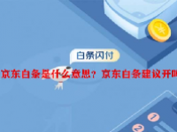 京东白条是什么意思？京东白条建议开吗？