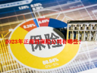2023年正规的保险公司有哪些？