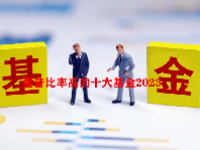 夏普比率高的十大基金2023