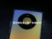 星闪概念龙头股一览表2023