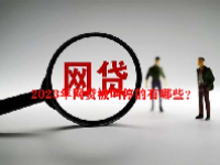2023年网贷被叫停的有哪些？