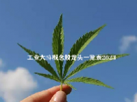 工业大痳概念股龙头一览表2023