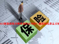 2023旅游保险买哪家保险公司好？旅游保险怎么买短期？