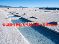 盐湖提锂板块龙头股最新一览表2023