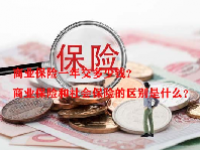 商业保险一年交多少钱？商业保险和社会保险的区别是什么？