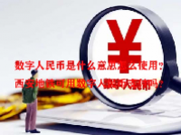 数字人民币是什么意思怎么使用？西安地铁可用数字人民币支付吗？