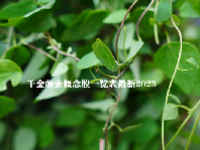 千金藤素概念股一览表最新2023