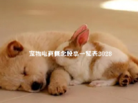 宠物电商概念股票一览表2023