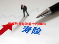 增额终身寿险前十名2023