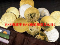 BSV币减半 BSV币的前景怎么样？