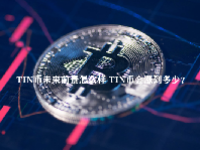 TIN币未来前景怎么样 TIN币会涨到多少