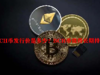 BCH币发行价是多少？BCH币值得长期持有吗？