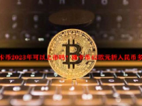 维卡币2023年可以上市吗？维卡币42欧元折人民币多少钱？