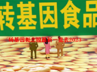 转基因概念股最新一览表2023