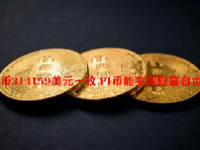PI币314159美元一枚 PI币能实现财富自由吗？