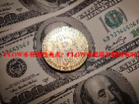FLOW币有哪些亮点？FLOW币值得长期持有吗？
