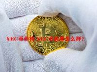 XEC币价格 XEC币前景怎么样？