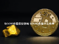 ROOM币值得投资吗 ROOM币是什么币种