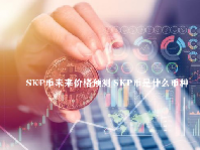 SKP币未来价格预测 SKP币是什么币种