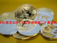 INJ币怎么样？INJ币会涨到二十美金吗？