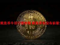鱿鱼币今日行情价格 鱿鱼币有没有前景？