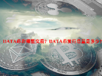 DATA币在哪里交易？DATA币发行总量是多少？