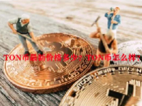 TON币最新价格多少？TON币怎么样？