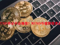 BUSD币会不会崩盘？BUSD币值得投资么？