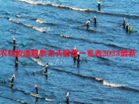 农林牧渔股票龙头股票一览表2023最新