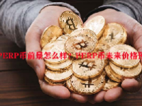 PERP币前景怎么样？PERP币未来价格预测
