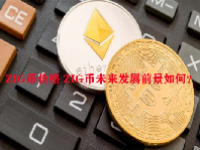 ZIG币价格 ZIG币未来发展前景如何？