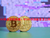 WOO币是否有价值？WOO币的前景怎么样？