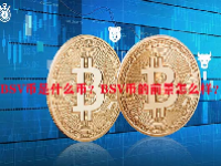 BSV币是什么币？BSV币的前景怎么样？