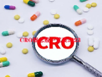 CRO概念股一览表2023