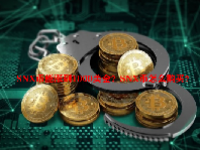 SNX币能涨到1000美金？SNX币怎么购买？
