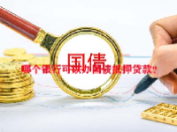 哪个银行可以办国债抵押贷款？