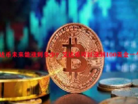 艾达币未来能涨到多少？艾达币可以涨到100美金一个吗？