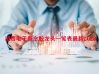 消费电子概念股龙头一览表最新2023