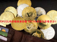 TFUEL币价格未来价格 TFUEL币发行价格多少？