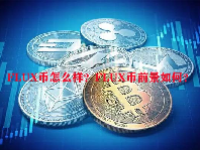 FLUX币怎么样？FLUX币前景如何？