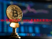 OMG币是什么币？OMG币暴跌的原因2023