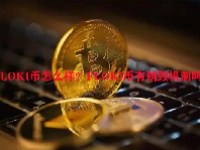 FLOKI币怎么样？FLOKI币有销毁机制吗？