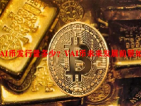 VAI币发行量多少？VAI币未来发展前景如何？