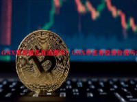 GNX币目前还在运营吗？GNX币还有投资价值吗？