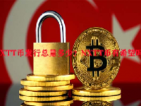 NXTT币发行总量多少？NXTT币有希望吗？