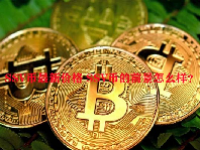 SSV币最新价格 SSV币的前景怎么样？