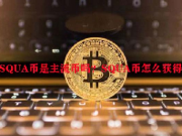 SQUA币是主流币吗？SQUA币怎么获得？