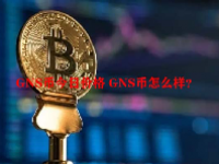 GNS币今日价格 GNS币怎么样？